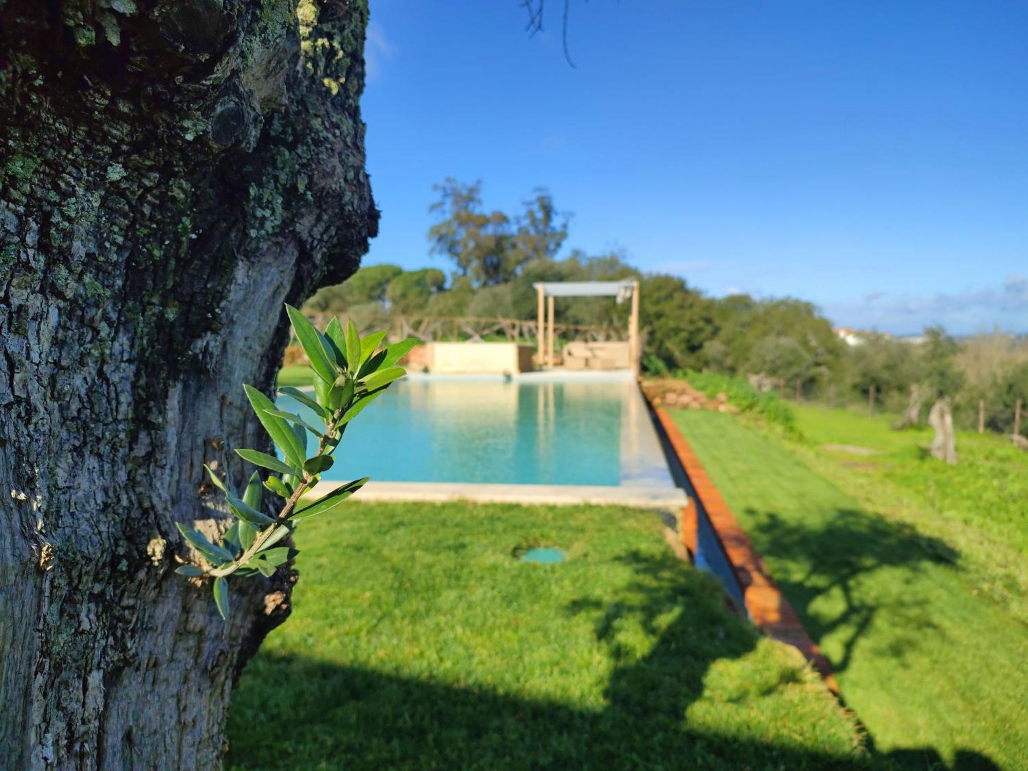 Quinta De Matrena Villa Macieiros Bagian luar foto